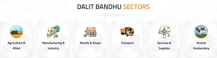 Dalit Bandhu Scheme Telangana Sectors