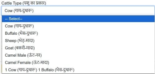 Cattle Type in Mukhyamantri Mangla Pashu Bima Scheme