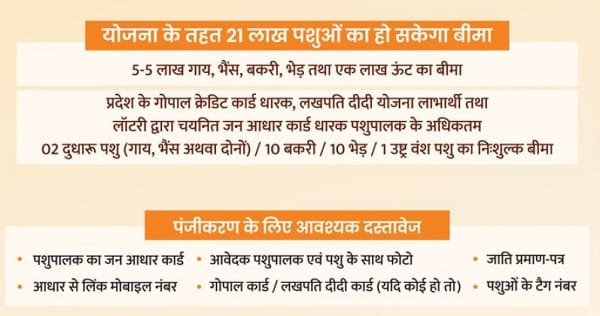 Information of Mukhyamantri Mangla Pashu Bima Scheme Rajasthan