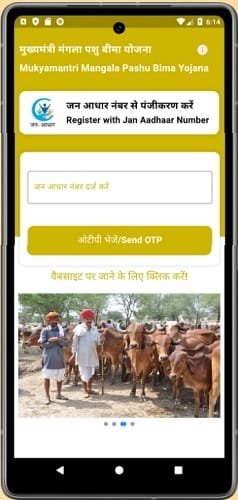 Registration of Mukhyamantri Mangla Pashu Bima Scheme