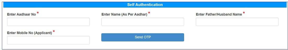 Bihar Mukhyamantri Mahila Rojgar Yojana Urban Online Apply