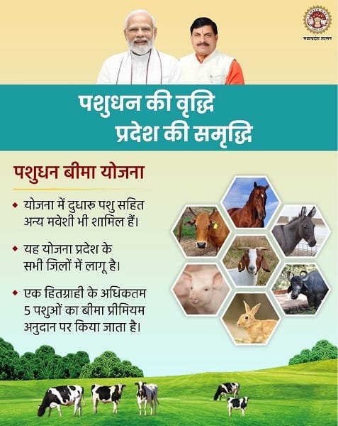 Details of Pashudhan Bima Yojana Madhya Pradesh