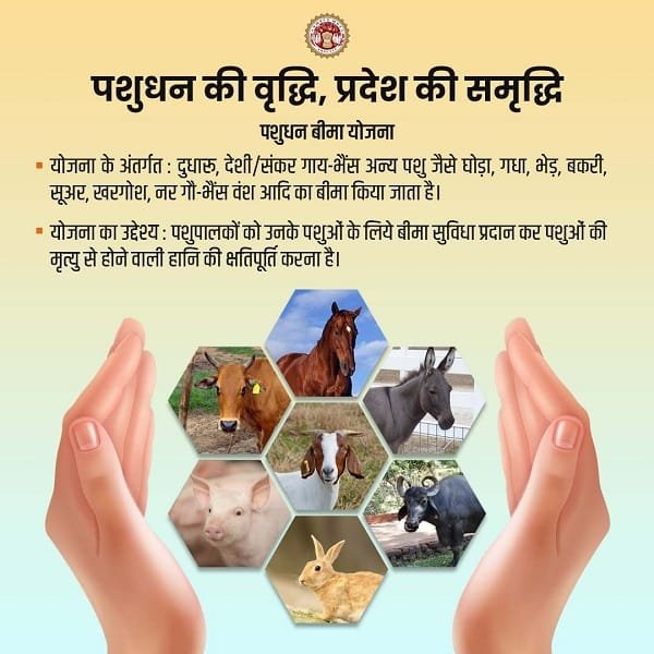 Information of Pashudhan Bima Yojana Madhya Pradesh