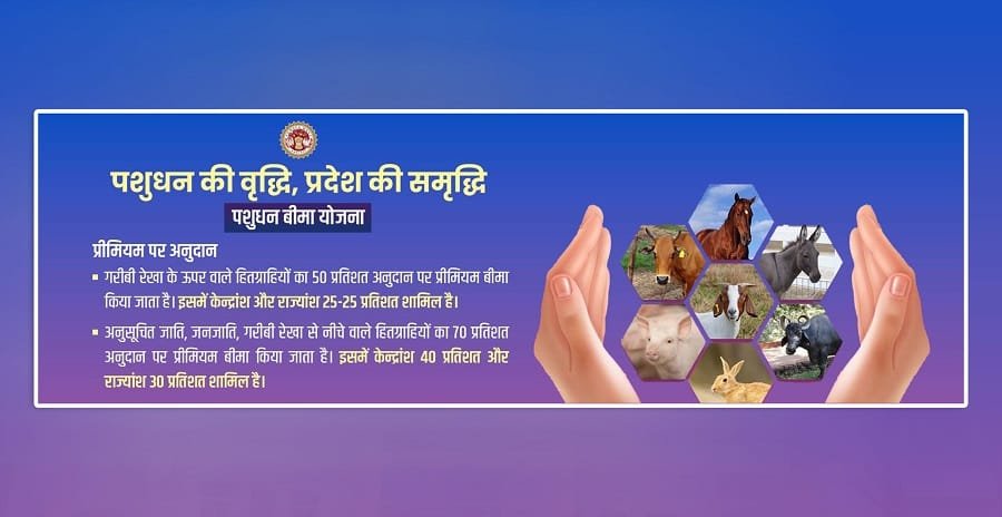 Premium of Pashudhan Bima Yojana Madhya Pradesh