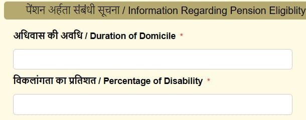 Applicant Disability Details