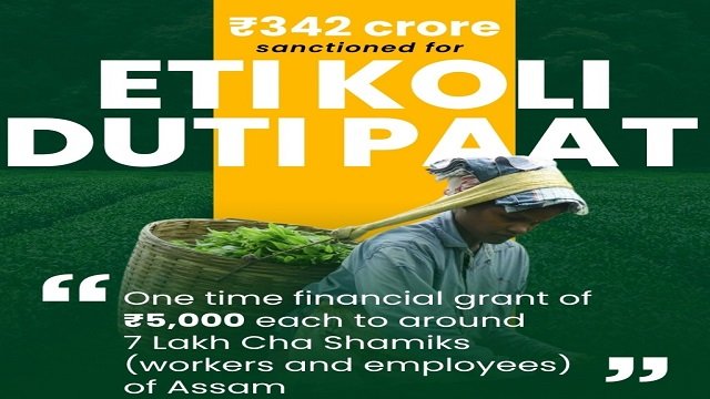 Information of Mukhya Mantrir Eti Koli Duti Paat Scheme Assam