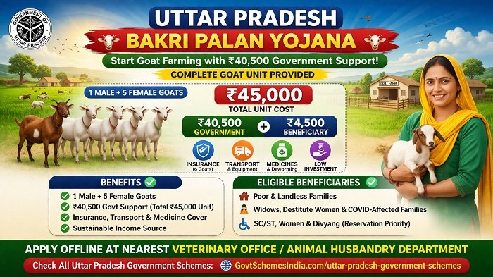 Uttar Pradesh Bakri Palan Yojana Information Uttar Pradesh Bakri Palan Yojana Information