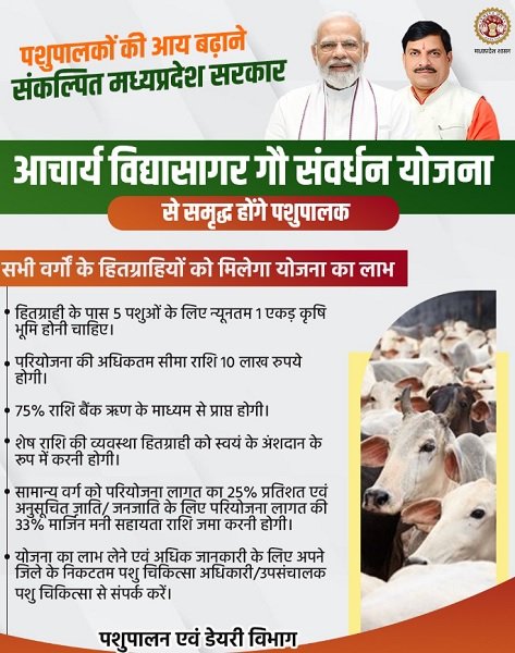 Acharya Vidhyasagar Gau Samvardhan Yojana Information