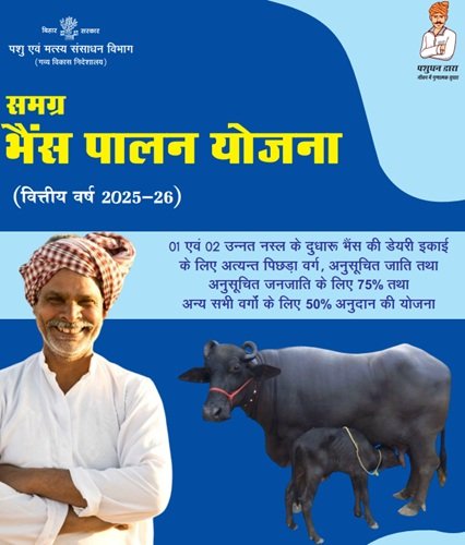 Bihar Samagra Bhains Palan Yojana Benefits
